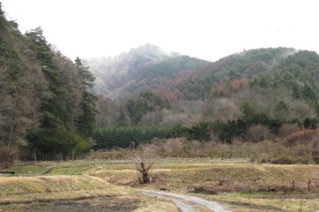 Nagano countryside