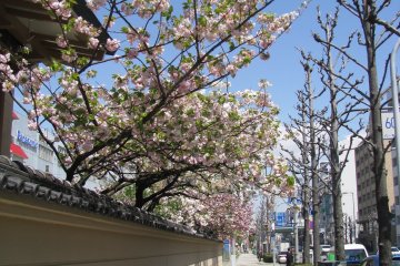A street of Osaka