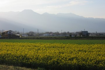 A countryside view in Azumino