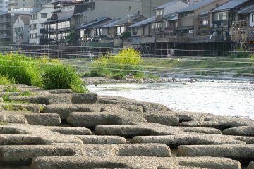 Kamo River in Kyoto