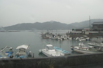 A quiet harbor