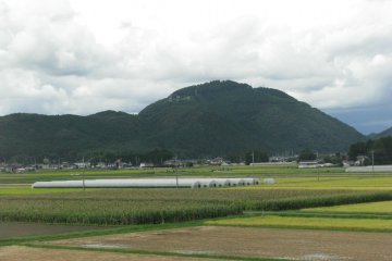 A countryside view from a train