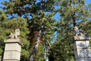Entrance to Gotokuji Temple 