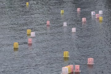Lanterns are set afloat even before night falls
