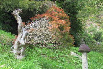 Each fragment of a garden is perfect!