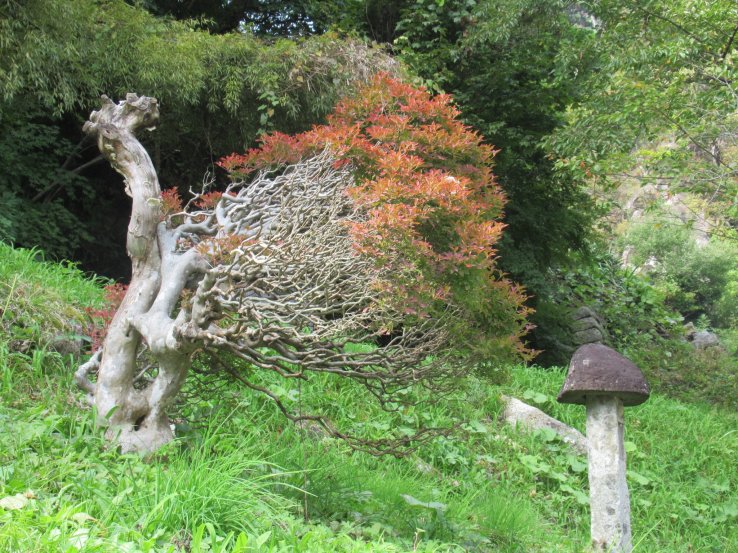 Each fragment of a garden is perfect!