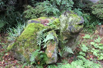 This old stone looks like a turtle