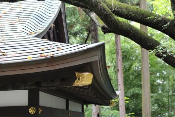 A fragment of a temple