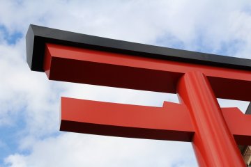 Perfect geometry of torii