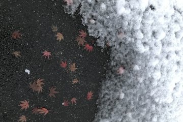 As Autumn Turns to Winter