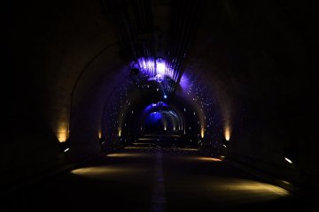 The tunnel will lead you on a wonderful light display