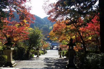 Looking down at the entrance