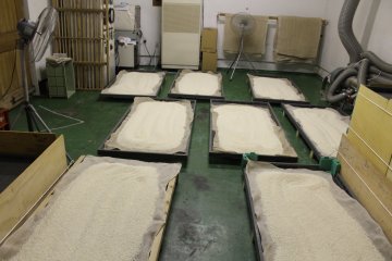 Toshimaya Shuzo Brewery - molding the rice