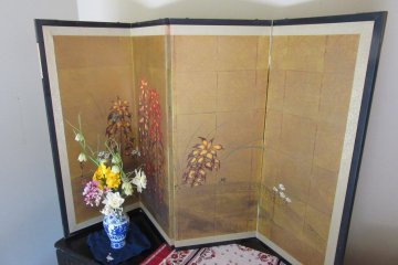 Small screen in modern house 