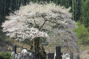 Nagano countryside