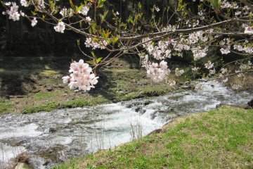 Nagano countryside
