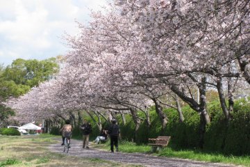 Riverside park in Hiroshima