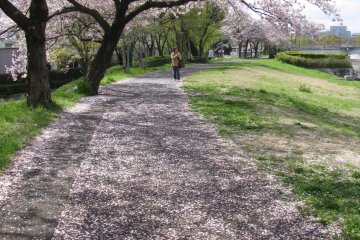 Riverside park in Hiroshima