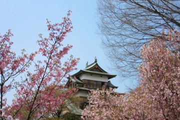 Takashima Castle, Nagano