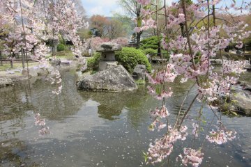 The garden of Takashima Castle, Nagano