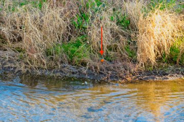 Look for a small blue and brown speck.