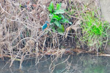 March 16, Kanai Park