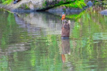 July 5, Oike Park