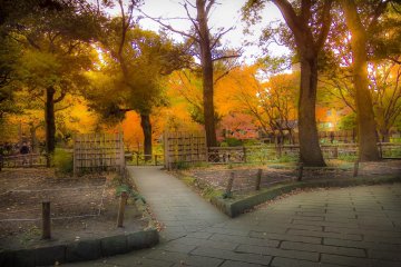 December in Yokohama Park