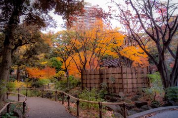 Upon entering this garden you can easily escape the hustle and bustle of daily life