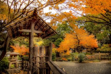 The colorful foliage presents a welcome break from this year’s mostly bleak weather