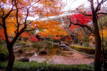 Its easy to forget how close this garden is to the nearby baseball stadium
