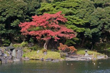 Koishikawa Korakuen