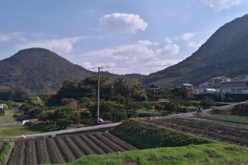 Immortal Shikoku Henro