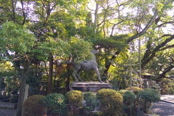 Ancient henro horse
