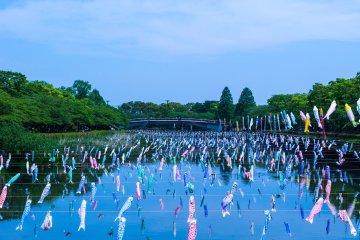 The hanging carp streamers symbolize strength and perseverance