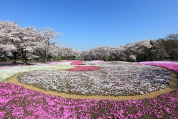 Both autumn and spring are incredibly popular here