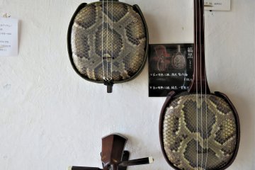 The snakeskin sanshin
