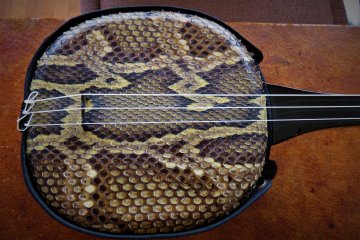 The snakeskin sanshin