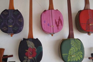 Asoviva Sanshin in a school of tropical coral hues, appealing to a newer audience