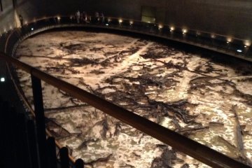 The Tomizawa Site Museum is half museum, half time capsule. The main exhibit is remains of swamp woods and a Paleolithic people's camp site.