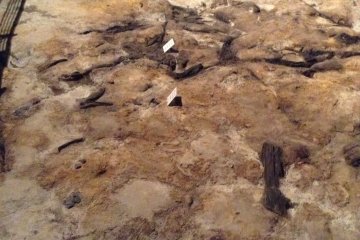 The darkened area shows evidence where a campfire once burned 20,000 years ago.
