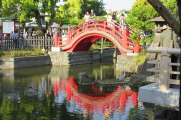 Kameido Shrine, Tokyo