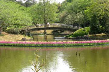 Hamamatsu Flower Park