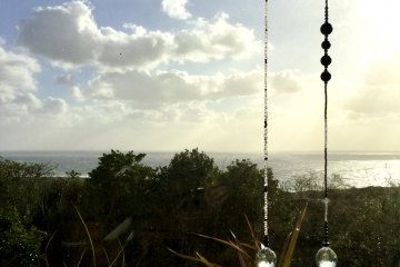A relaxing view from the living room window