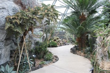 Greenhouse at Shinjuku Gyoen 