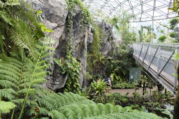 Greenhouse at Shinjuku Gyoen