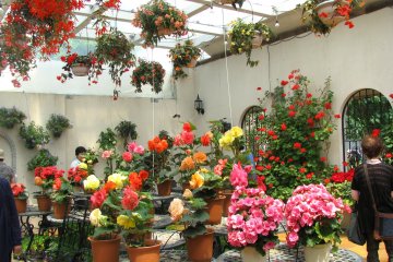 Crystal Palace at Hamamatsu Flower Park