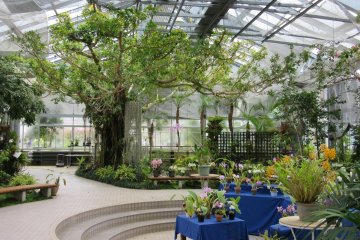 Greenhouse at the Floral Garden in Obuse 
