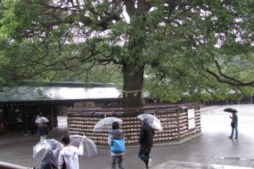 which turned into heavy rain and then...