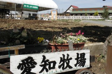It's not a Fun Park, it's a Fun Farm!
